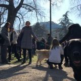 Masovno trovanje životinja uprkos najboljim zakonima 11