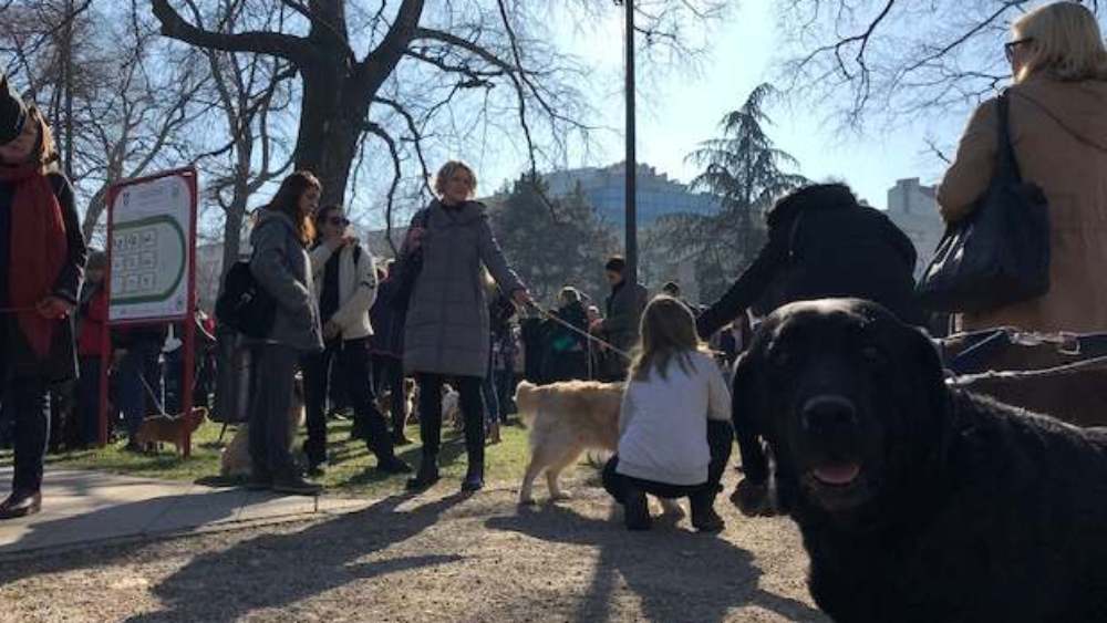Masovno trovanje životinja uprkos najboljim zakonima 1