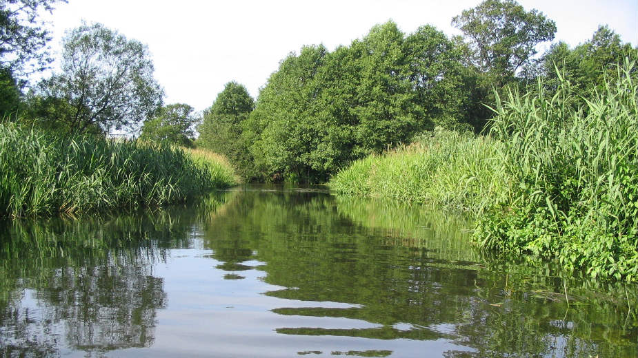 Ekolozi pronašli ostatke zaštitnih rukavica i maski u velikim evropskim rekama 1