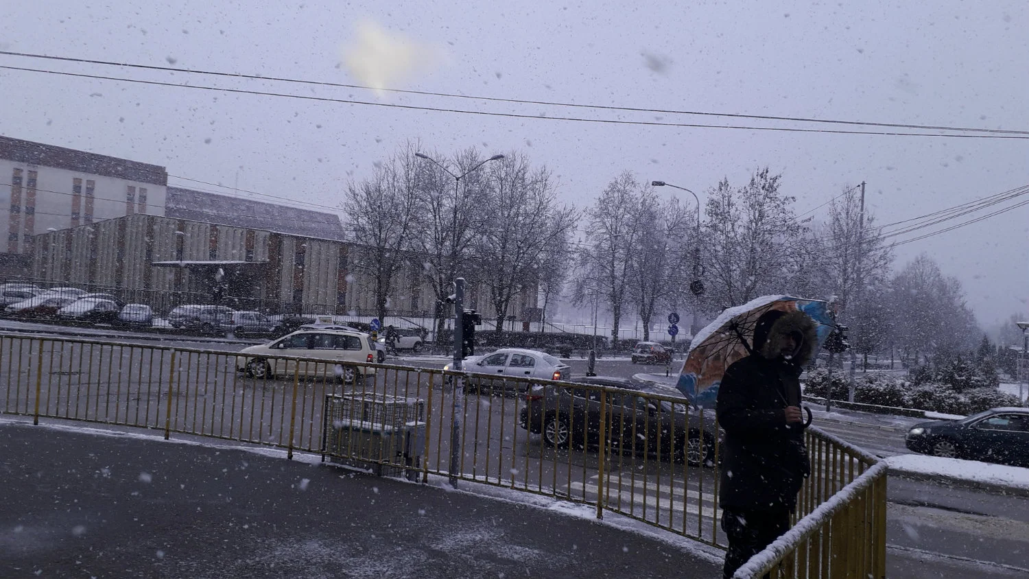 U Vranju tročasovna vlažna vejavica 1