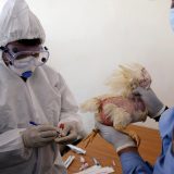 Sličnosti i razlike COVID-19 sa drugim virusima 14