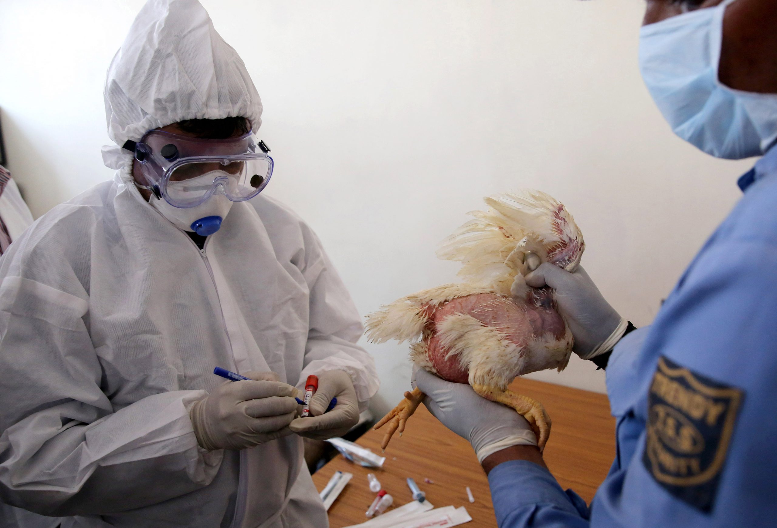 Sličnosti i razlike COVID-19 sa drugim virusima 1