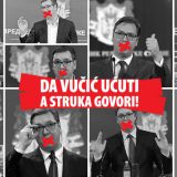 Pokrenuta peticija: Manje Vučića, više lekara 11