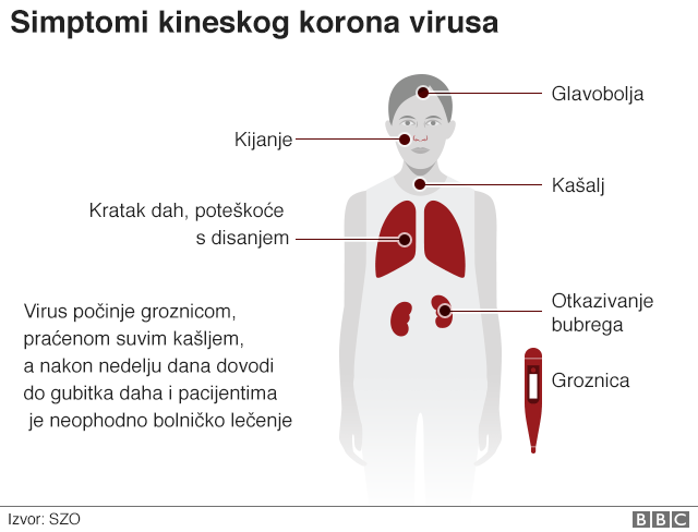 Korona virus: Prvi slučajevi u Bosni i Hercegovini i Sloveniji, vanredno stanje u Kaliforniji 5 Korona virus simptomi