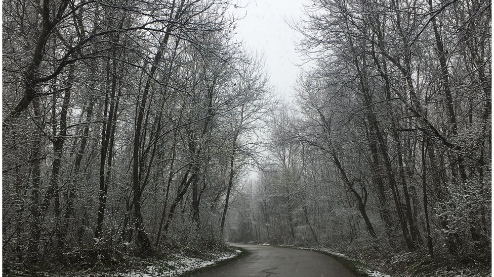 Korona virus u zaboravljenim srpskim selima: Koliko daleko je blizu 2 Put ka selu, Knjaževac, mart 2020.