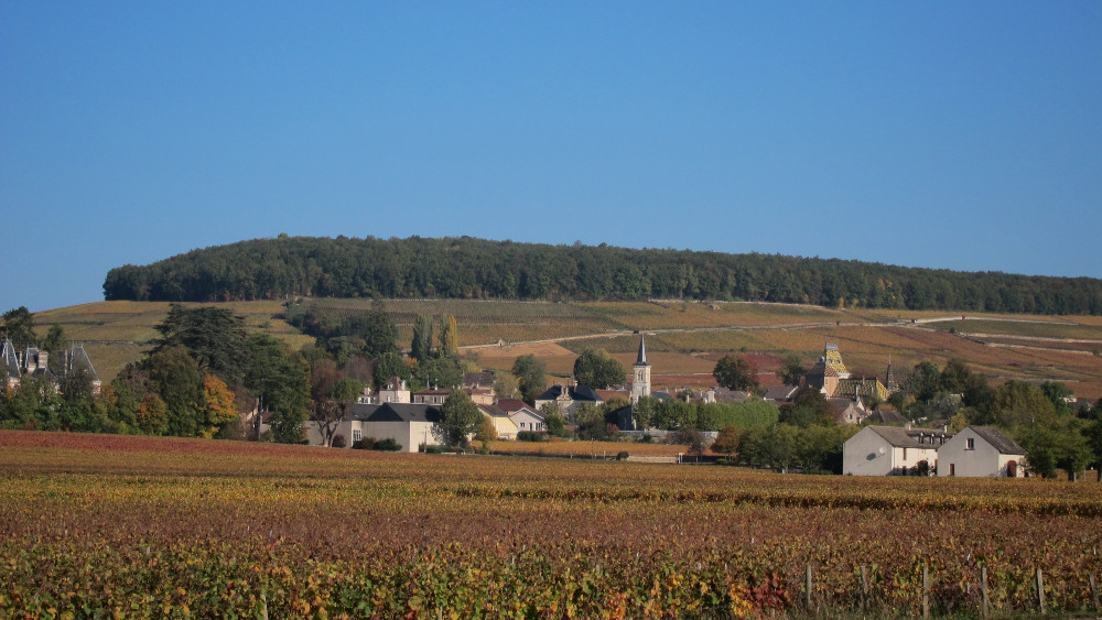 Francuska: Put velikih vinograda 1