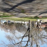 Stanković: Laboratorije neće testove na koronu sa juga Srbije 6