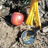 Danas se navršava osam godina od pada vojnog helikoptera kod Surčina i pogibije sedam osoba 2