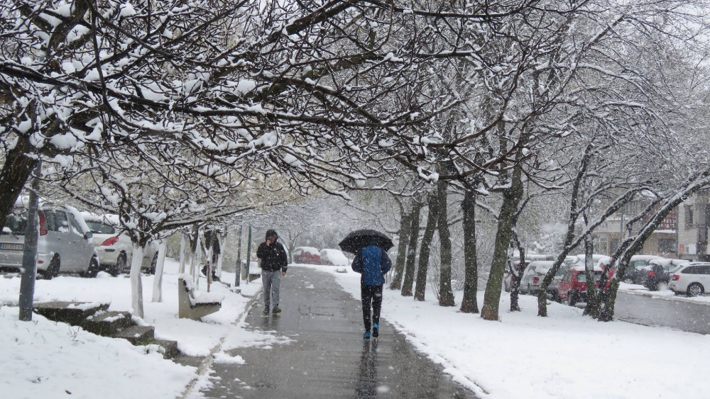 Arhiv Srbije omogućio besplatno svoje digitalne sadržaje 1