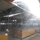 Pijace u Beogradu rade od četvrtka do subote 8