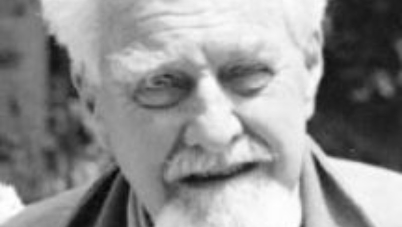 Paradoks fazanovog repa 1 Paradoks fazanovog repa 1