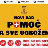 Novosadska OSA u humanitarnoj akciji za najstarije građane 7