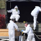 Italija se nada da virus usporava, plaši se jačeg napada na jug 4