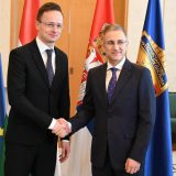 Stefanović i Sijarto: Iako u obe zemlje nema korona virusa, Srbija i Mađarska prate situaciju 13