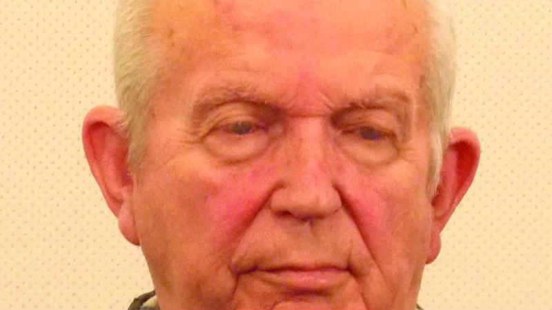 Kako je formirana vlada Milana Nedića? 1