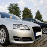 Koje službene automobile koriste čelni ljudi Subotice, Novog Sada, Zrenjanina, Kragujevca, Užica, Niša, Majdanpeka i Novog Pazara 13