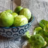 Pečeni prokelj sa susamom i belim lukom (recept) 2