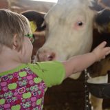 SSP: Osobe sa Daunovim sindromom treba da dobiju socijalnu zaštitu po automatizmu 6