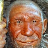 Pronađen prvi „artikulisani“ skelet neandertalca u poslednjih deset godina 3