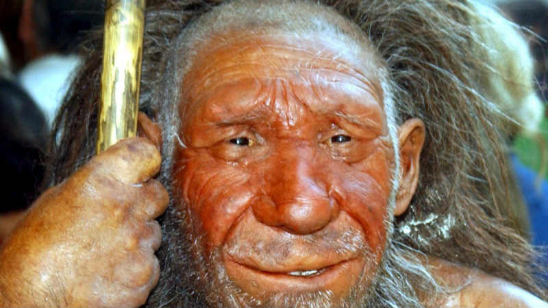 Pronađen prvi „artikulisani“ skelet neandertalca u poslednjih deset godina 1