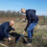 U Lipovačkoj šumi počela akcija pošumljavanja 13