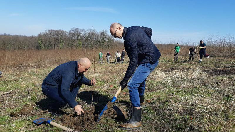 U Lipovačkoj šumi počela akcija pošumljavanja 1