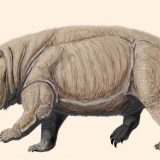 Drevni rođak sisara 5