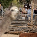 U Kini nijedan slučaj zaraze novim korona virusom, delimično ukinute mere karantina u Hubeju 3