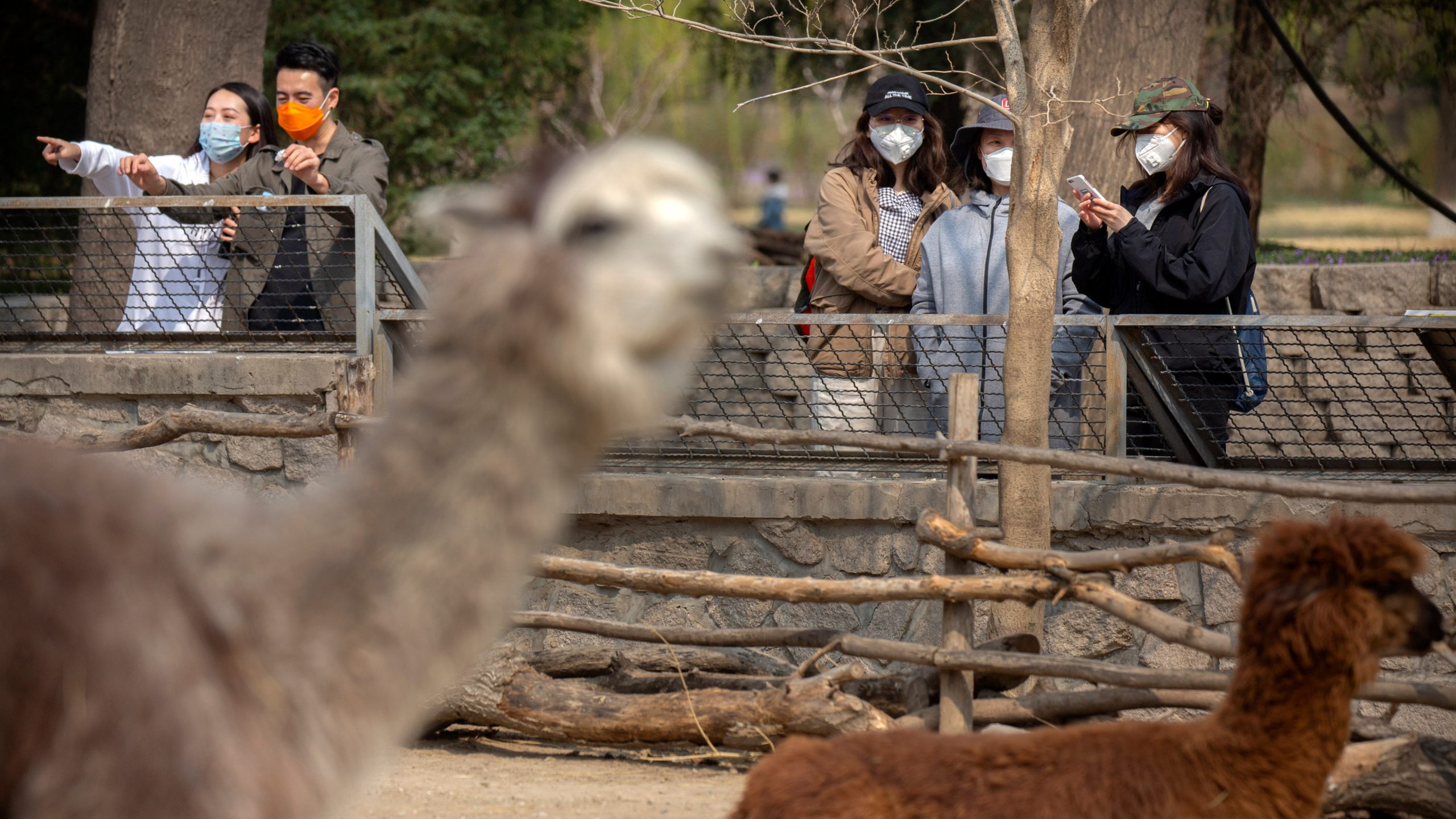 U Kini nijedan slučaj zaraze novim korona virusom, delimično ukinute mere karantina u Hubeju 1