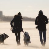 U Nemačkoj zabrana kontakta umesto zabrane kretanja 7