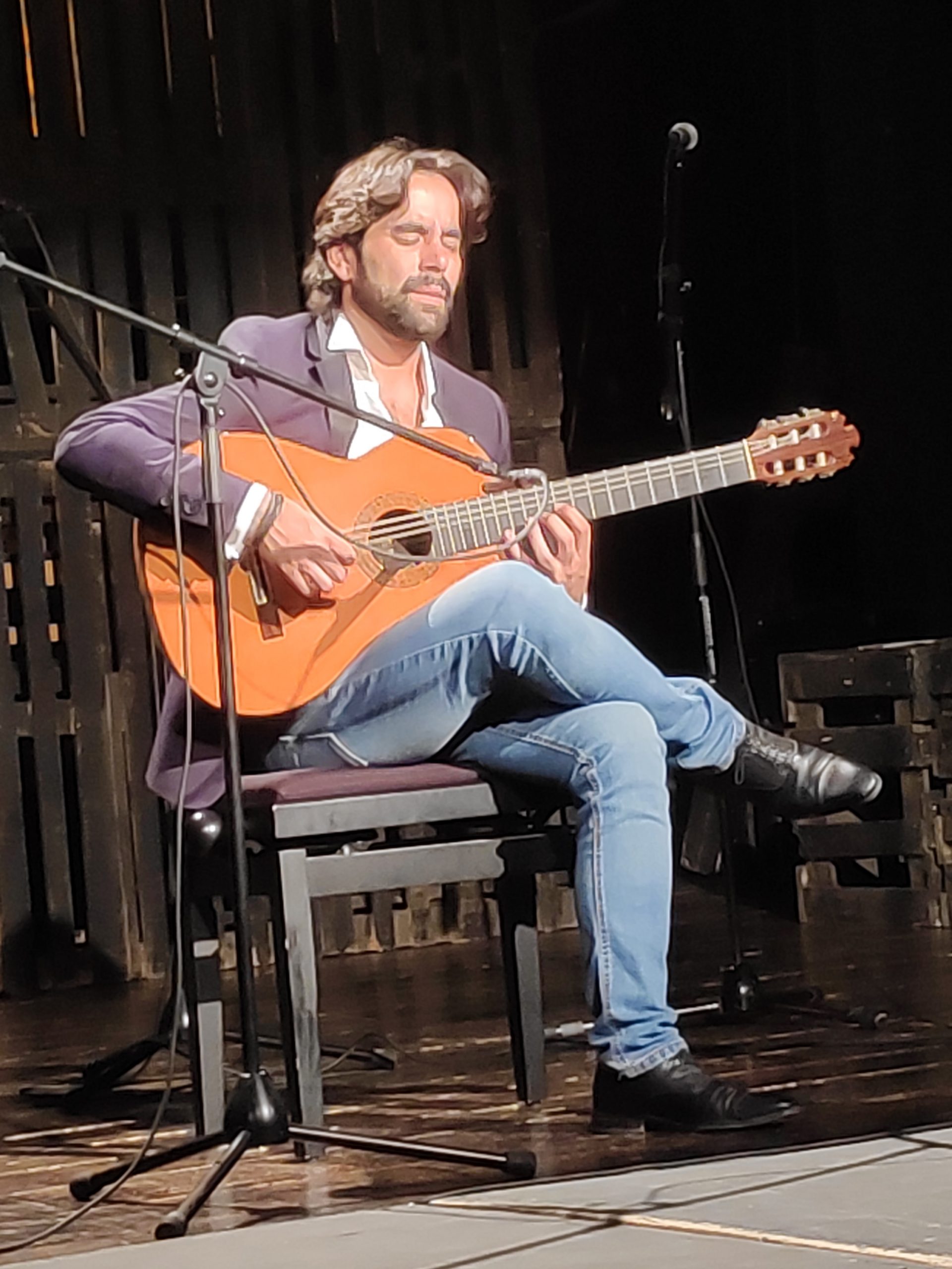 Flamenko je obasjan suncem juga 1