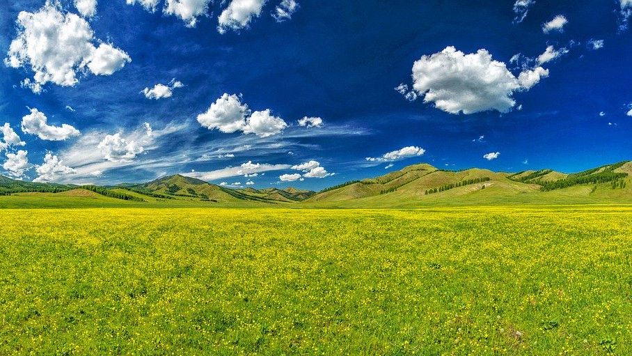 Mongolija: Senka, jedini prijatelj 1