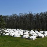 U Moroviću kod Šida otvoren kamp za povratnike iz inostranstva bez prebivališta u Srbiji (FOTO) 2