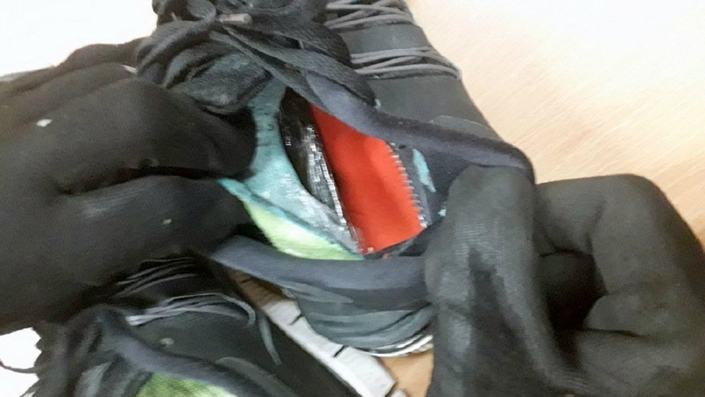 Carinici otkrili anatomske uloške od hašiša 1