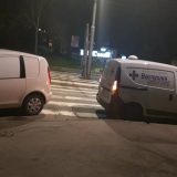 Istraga o trovanju pasa na Kalemegdanu 13