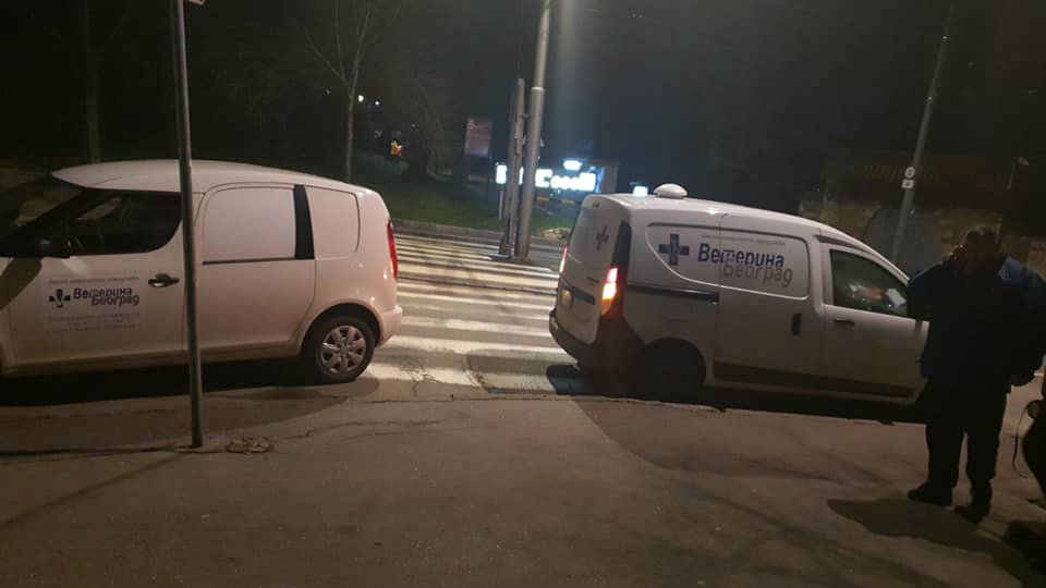 Istraga o trovanju pasa na Kalemegdanu 1