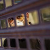 Španija: Zaraza među 9.444 zdravstvena radnika 13