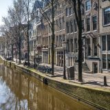 Holandija: Izbori u doba korone 2