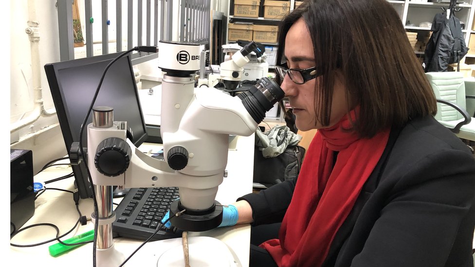 Nauka i materinstvo: Kako smo se rađali i odrastali u praistoriji 4 U laboratoriji