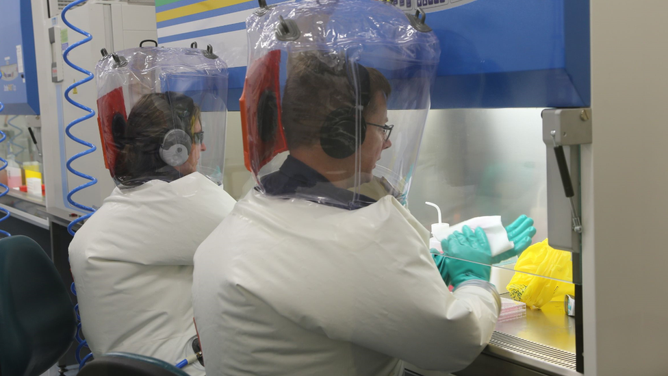 Naučnici organizacije CSIRO testiraju dve potencijalne vakcine