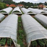 Korona virus: Zašto u Srbiji stoka jede hranu za ljude 10