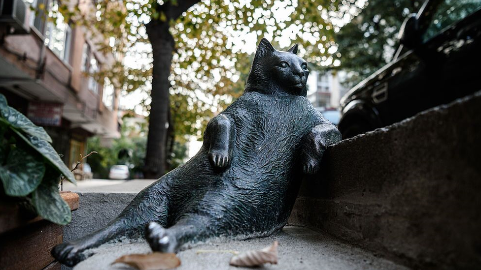 Statua mačke u Istanbulu
