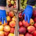 Agroanalitičar: Jabuka se količinski najviše izvozi, a malina donosi najviše novca 7