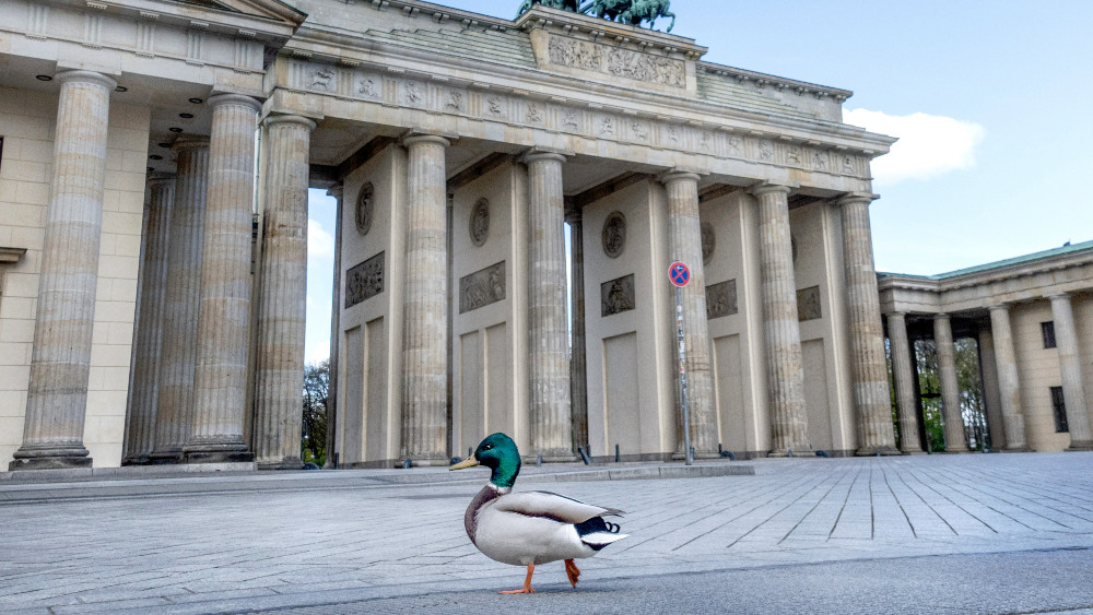 Nemačkoj potrebna pomoć lekara migranata 1