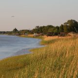 Francuska: Sudbine građana Orana 10