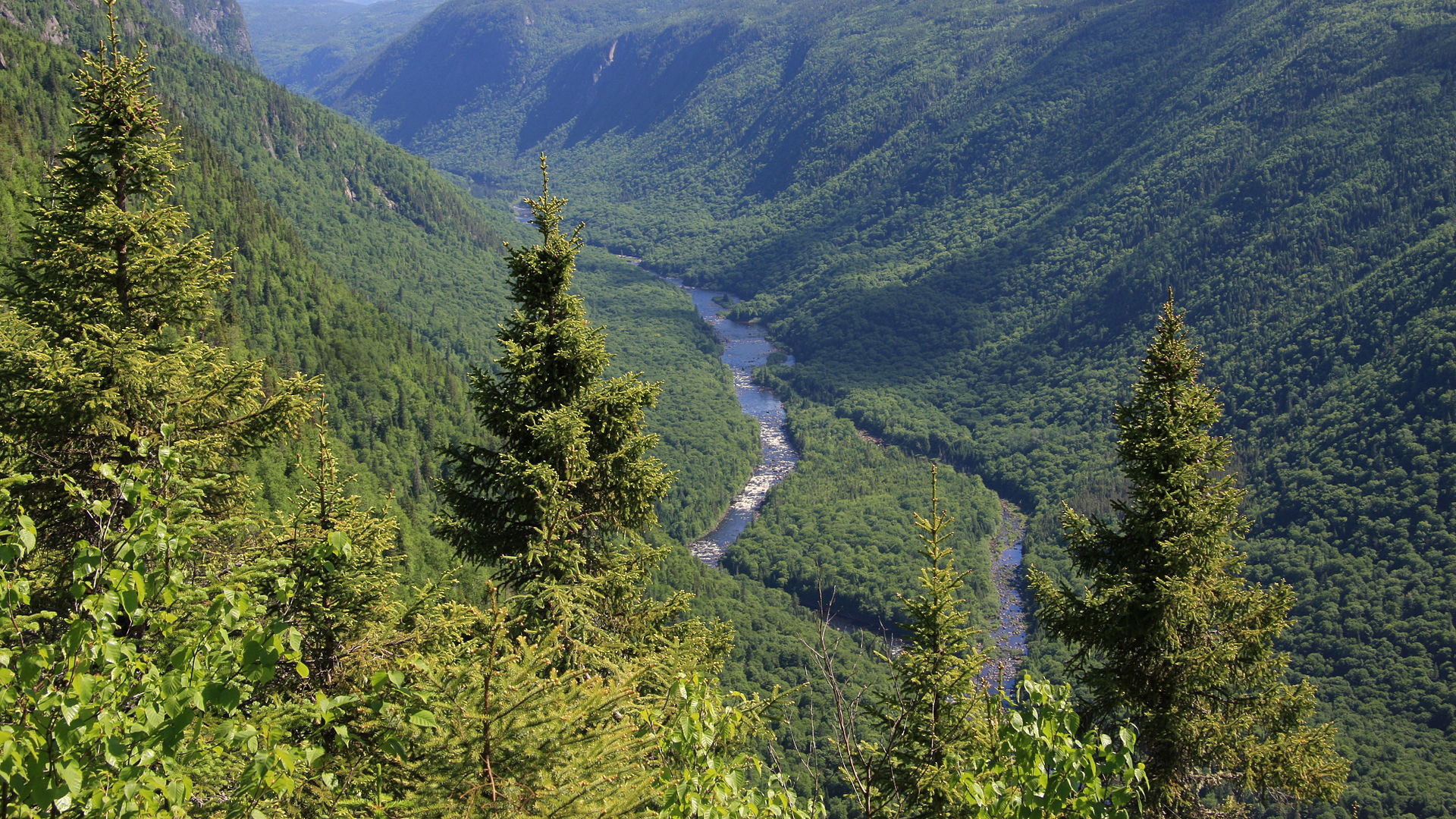 Kanada: Zašećereni april u Kvebeku 1