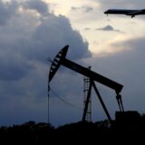 VOICE: Meštani zahtevaju hitno obustavljanje probnih bušenja nafte na Paliću 10