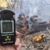 Skandal u Ukrajini: Suncokret i žitarice uzgajani na radioaktivno zagađenim poljima kod Černobilja 6