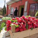 Zelene pijace od sutra ponovo rade 8