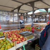 Voćari Srbije: Ministarstvo poljoprivrede podržalo naš zahtev da osiguranje od mraza počne 1. marta 14